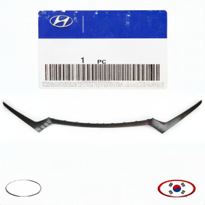 Top Gear Motors Front Bumper Upper Center Molding for 2017-2019 Hyundai Ioniq Hybrid